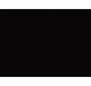 ПФ 4100x600x38 U999 ST89 R3 Чорний (EGGER)