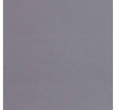 3050X600X38 W2007 1U Сталь (LUXEFORM)