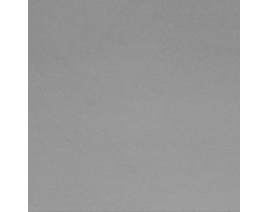Стінова панель 3050X600X10 L2004 Алюміній (LUXEFORM)