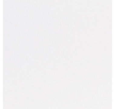 Стінова панель 3050X600X10 L900 Білий (LUXEFORM)