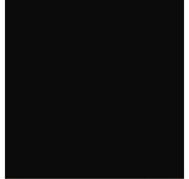 3050X600X38 W015 1U Чорний (LUXEFORM)