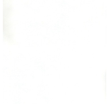 ЛДСП 2750X1830Х10 Біла Аляска (0440) SM (ГЛАДКИЙ) (SWISSPAN)