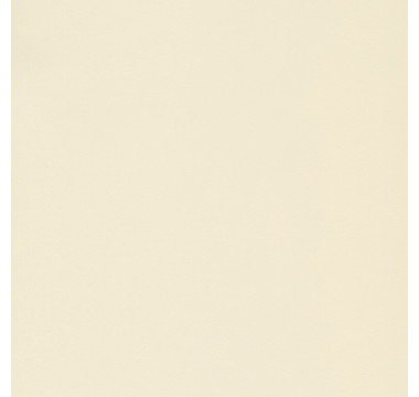 ЛДСП 2750X1830Х16 КРЕМОВИЙ (0081) (SWISSPAN)
